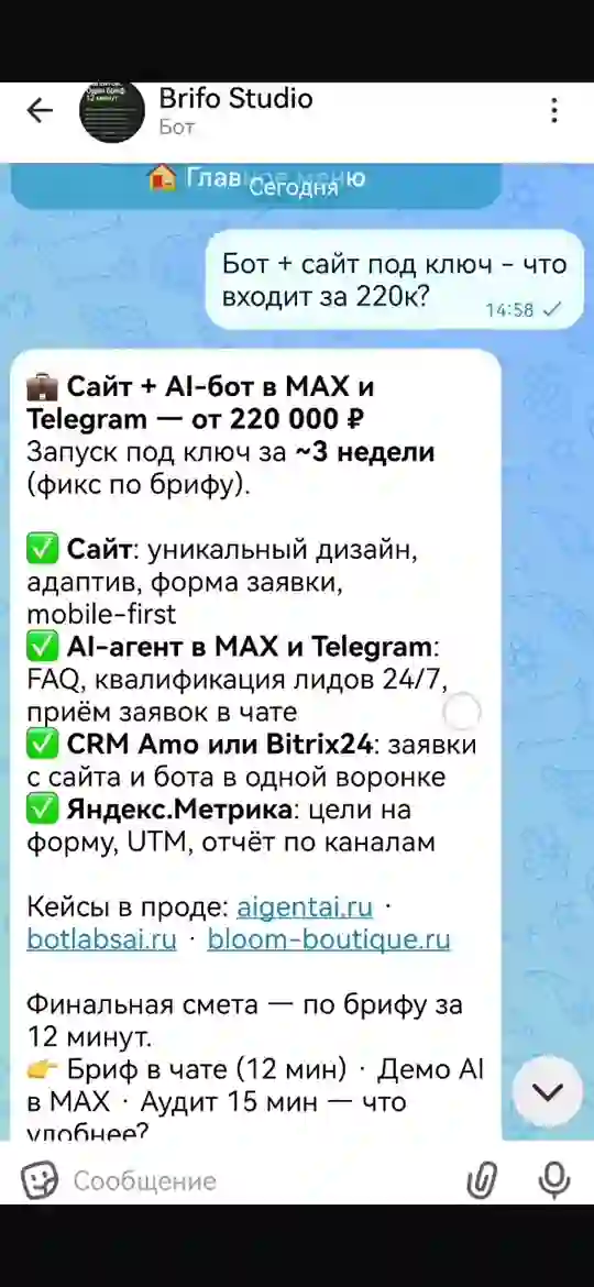 Бот показывает кейсы и предлагает следующий шаг